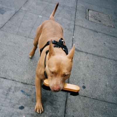 Worth It (feat. Fantasy Camp & Darcy Baylis) - Single