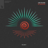 The Awakening - Single - Carly Wilford
