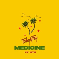 Medicine (Remix) - Single - Toby Grey