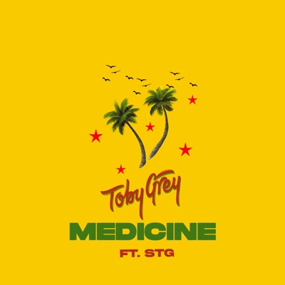 Medicine (Remix) - Single