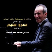 ميدلي سعد عبد الوهاب artwork