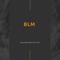 BLM (feat. Chris Cole) - Kevin W. White lyrics
