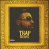 TrapDreams