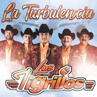 Los Tigrillos - La Turbulencia