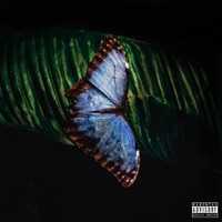 New Moon - dvn's archive