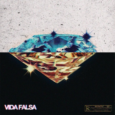 Vida Falsa - Single