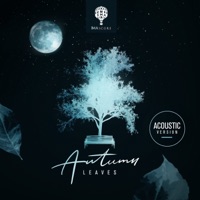 Autumn Leaves (Acoustic Version) - Single - IMAscore