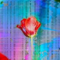 Sticks and Stones - Single - Richard Houghten