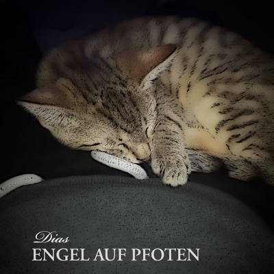 Engel auf Pfoten - Single
