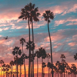 להמשיך לחלום (feat. אבי היילו & Yael Mess) Ortega