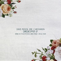 Dimedropper EP - David Museen & Erik Christiansen