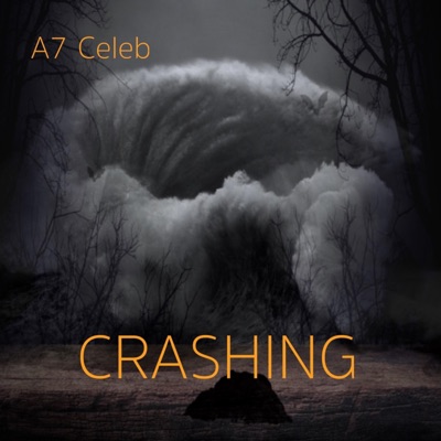 Crashing (feat. Ghost Enigma) - Single