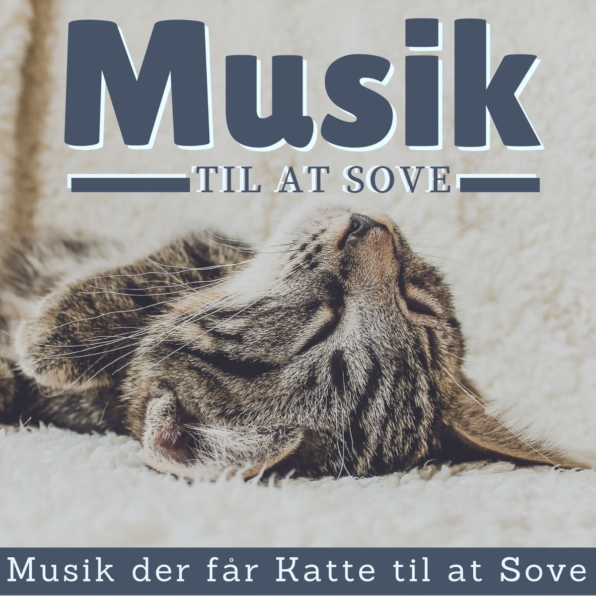 Halvtreds opretholde Kan ikke Musik til at Sove - Musik der får Katte til at Sove by Petterapi on Apple  Music