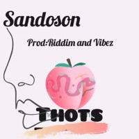 Thots (feat. Riddim & Vibez) - Single - Sandoson