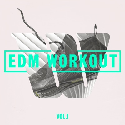 Edm Workout Vol. 1 (Instrumental Version)