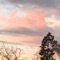 Entwine - Willy Smugface lyrics