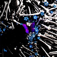 Ain't Right - Single - Colson XL