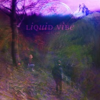 Liquid Vibe (feat. Miko) - Single - Opalescent