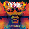 Friolento (feat. Shak Shakembo) - Caribombo