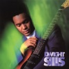 Dwight Sills - Standing On a Rainbow