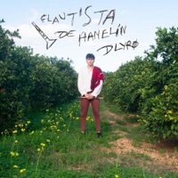 Flautista de Hamelín - Single - D Lyrø