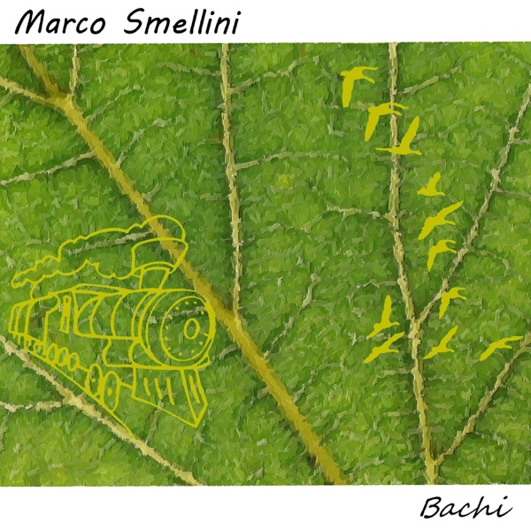 Bachi