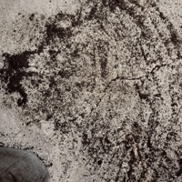 Dirt On The Pavement - EP - J(X)