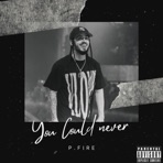 You Could Never - Single