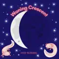 Waning Crescent