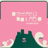 Stereolab - Black Ants In Sound-dust