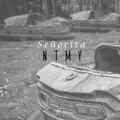 Señorita