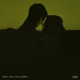 Wild Love (Tylo Remix) Foxela