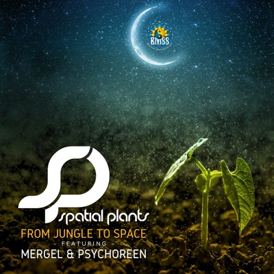 From Jungle to Space (feat. Mergel & Psychoreen) - Single