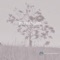 Estranged - Good Weather Company lyrics