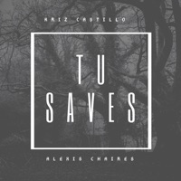 Tú Saves (Original) [feat. Kriz Castillo] - Single - Alexis Chaires