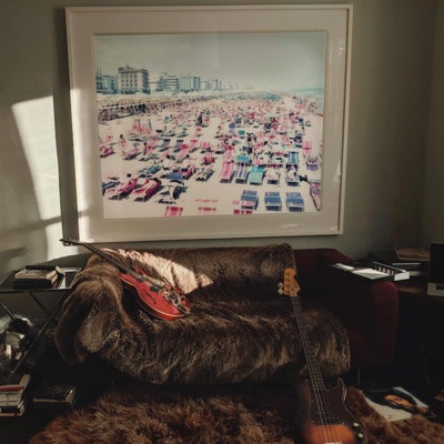 Overcrowded Beaches - Single