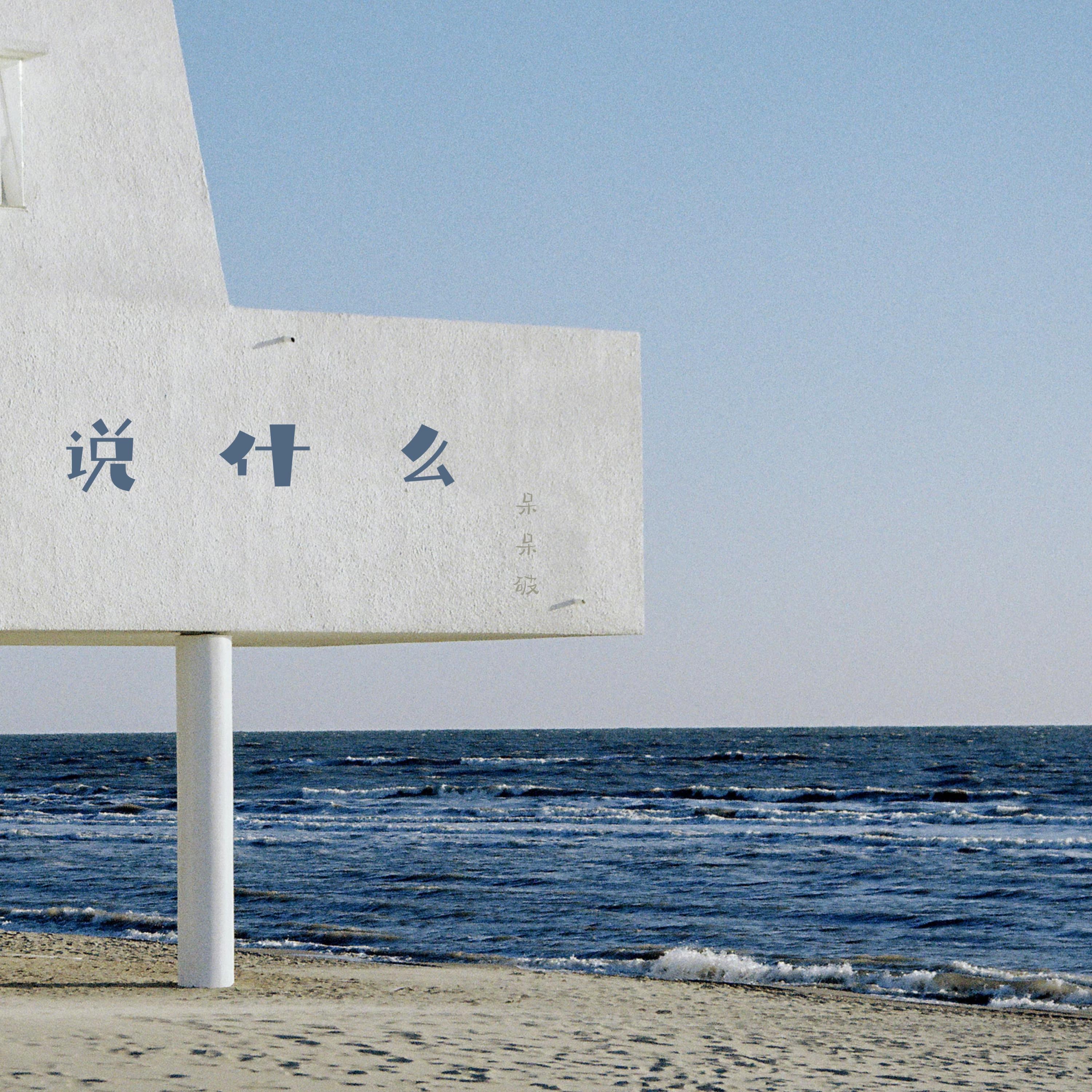 说什么 - Single