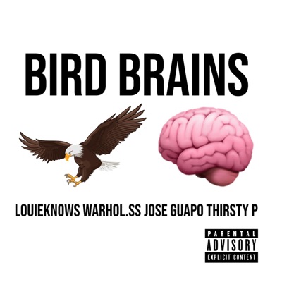 Bird Brains (feat. Warhol.Ss, Jose Guapo & Thirsty P) - Single