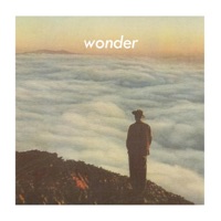 Wonder - linanthem
