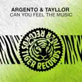 Can You Feel The Music
