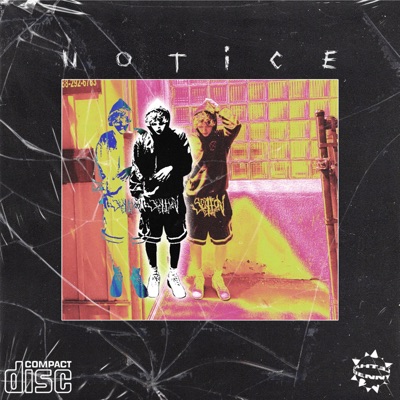 Notice - Single