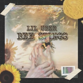 In My Feels Lil Uber