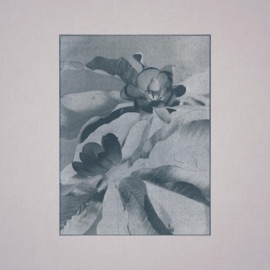 9:20 ENRA, lghts & dr. niar