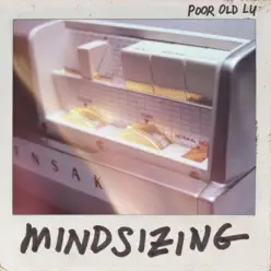 Mindsizing - Poor Old Lu