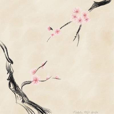 Cherry Blossom - Single