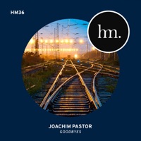 Goodbyes - Single - Joachim Pastor