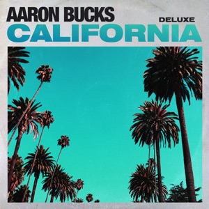 Aaron Bucks - Walk In It - Line Dance Music