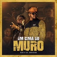 Em Cima do Muro (feat. Rodriguinho) - Single - Nego Di