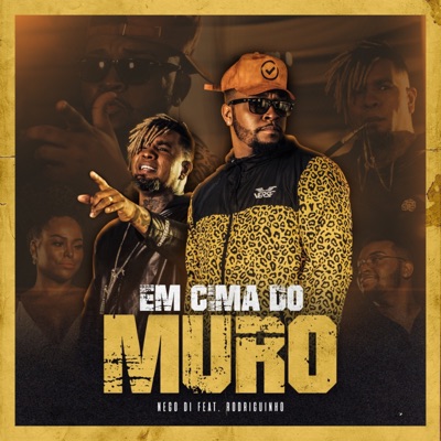 Em Cima do Muro (feat. Rodriguinho) - Single