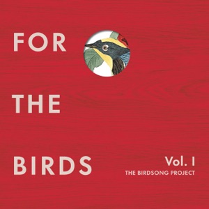 Why Does the Girl Bird Sing